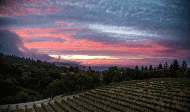 ediblemontereybay.com