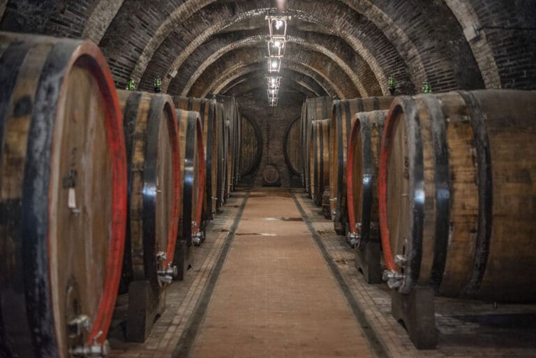 SALA-DEGUSTAZIONI-TALOSA--21