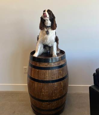 dog barrel