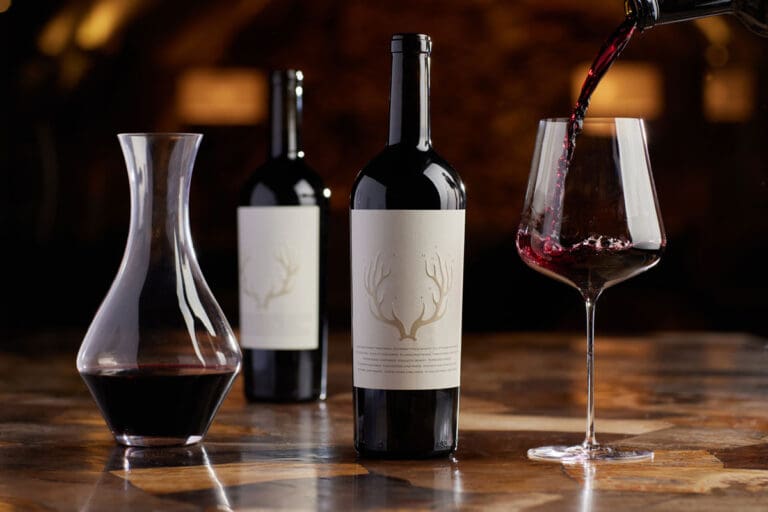 Image1_HouseofCabPhoenix-StagsLeapCollabImagebyRoccoCeselin