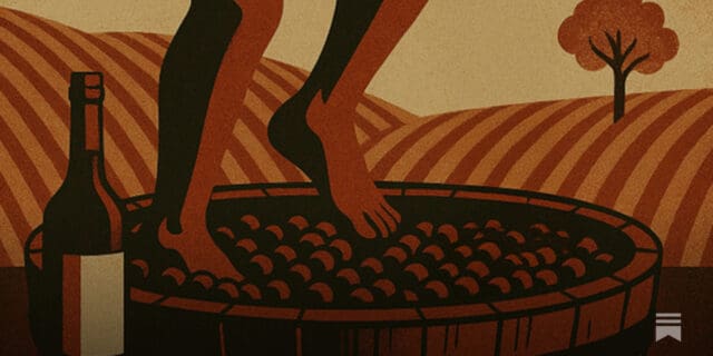 napavalleyfocus.substack.com