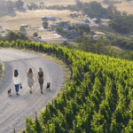 pasoroblesdailynews.com