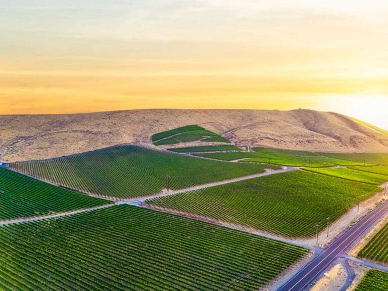 Quilceda-Creek-Vineyard-Acquisition