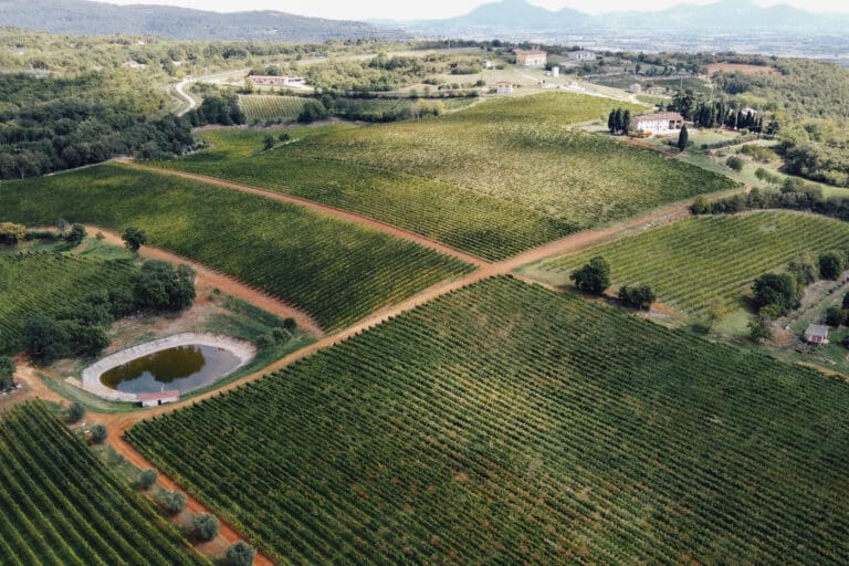 Cavazza Celebrates Autumn