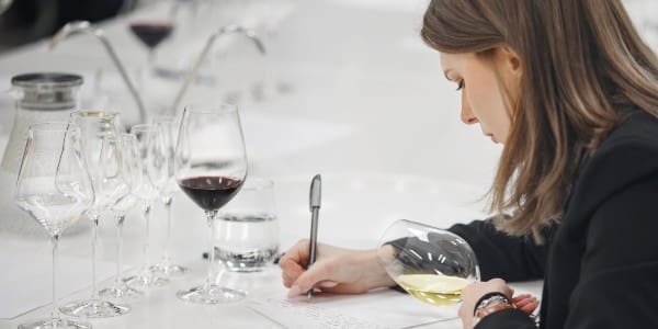 Wine Industry Network