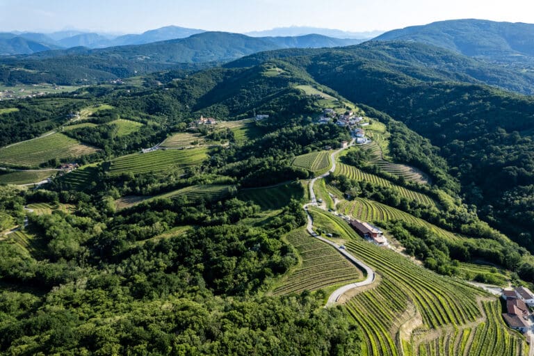 Tenuta Stella_territory 1