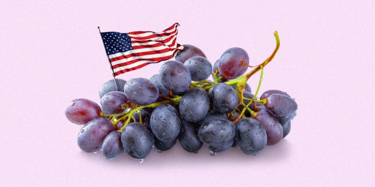 bulk-wine-production-header