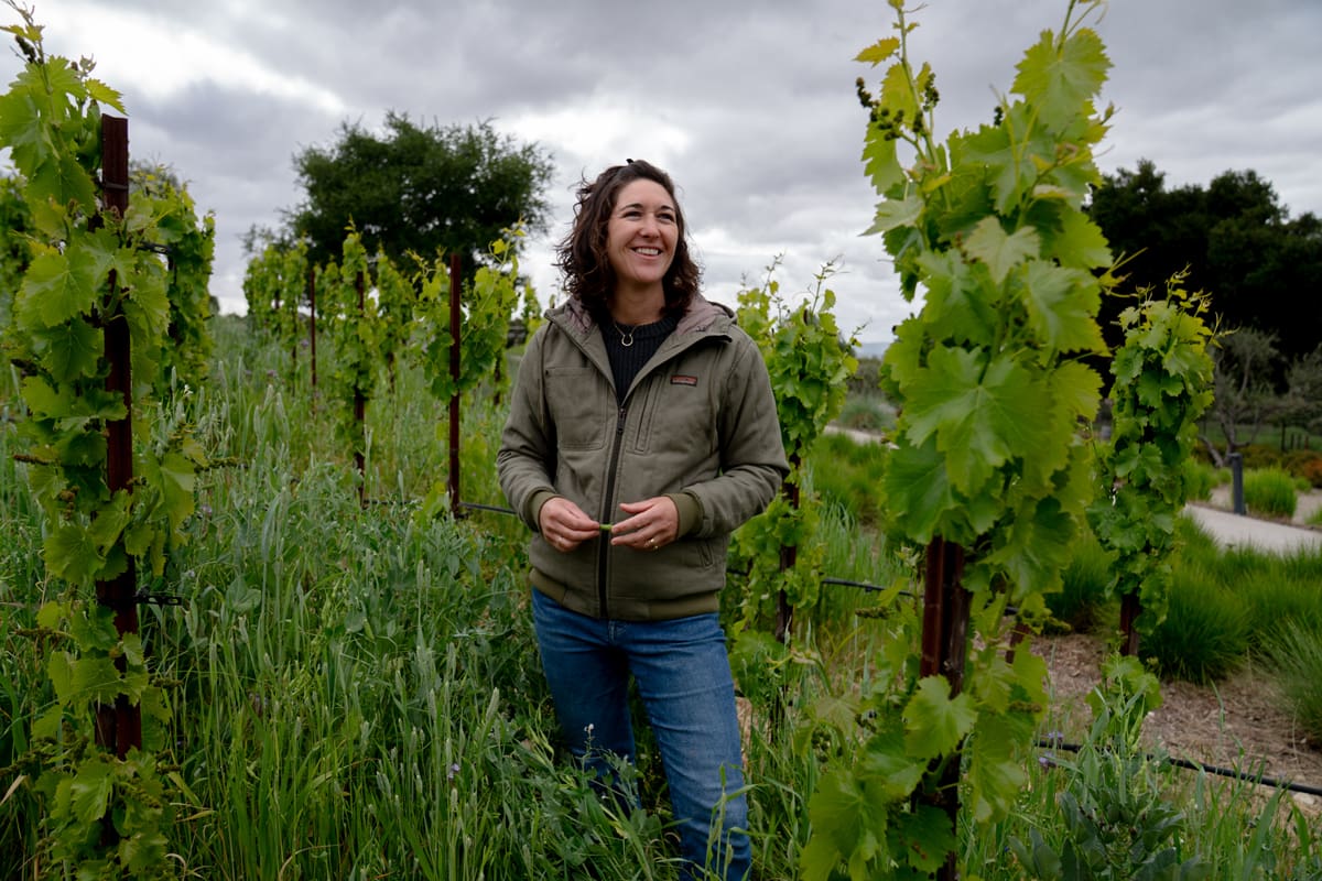 Booker Vineyard отримала сертифікацію CCOF Моллі Лонборг