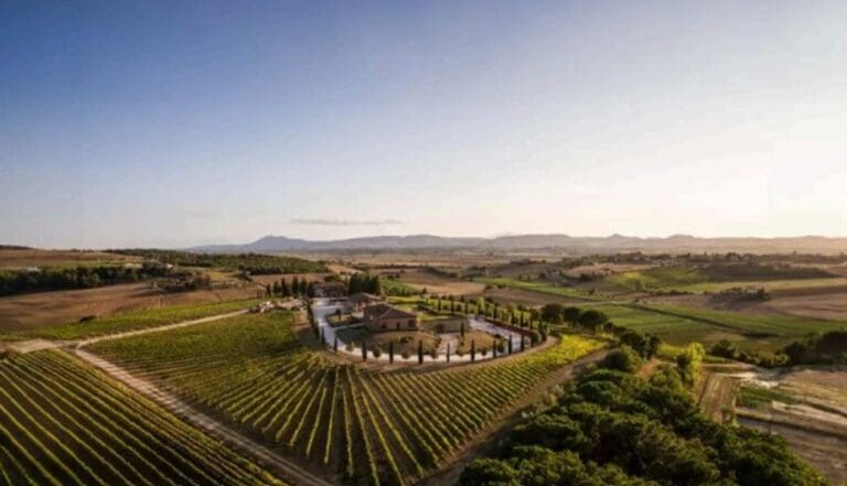 Avignonesi Brings the Heart of Tuscany to the U.S