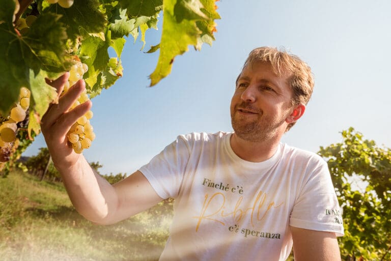 Gradis'ciutta_vigneti-15