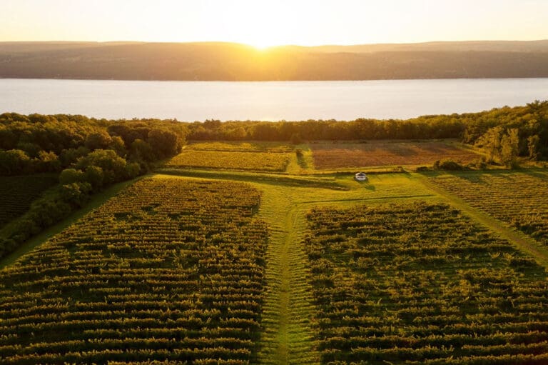 Finger Lakes Named Wine Enthusiast’s 2025 American Wine Region of the Year 