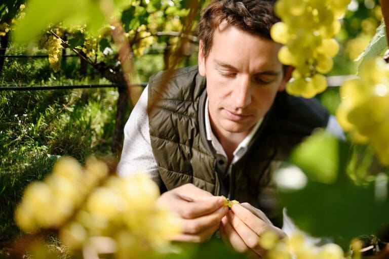 Consorzio-Alto-Adige-Wines_Jakob-Gasser-©Oskar-Da-Riz