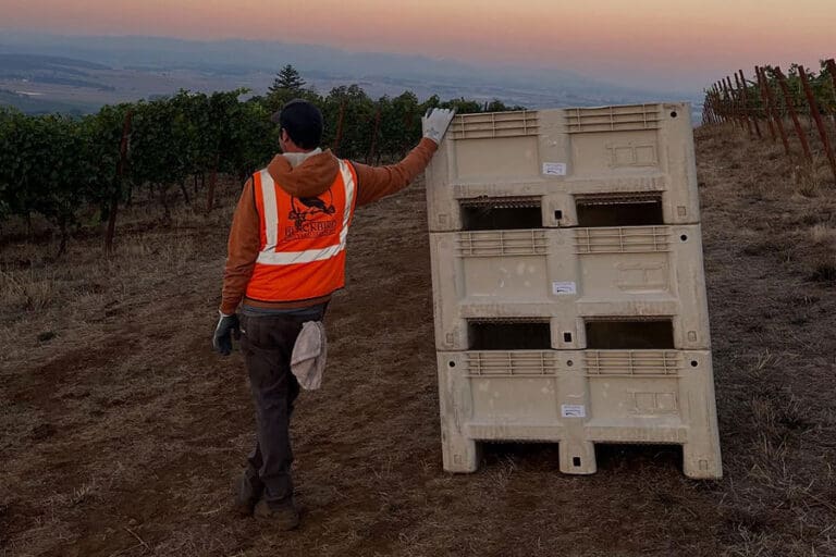 A-Fresh-Harvest-of-Independents-is-Shaping-Oregon-Wine’s-Future_ftimg