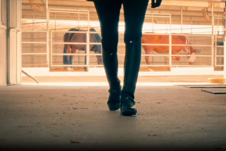 Dressage-Wines-Releases-New-Promotional-Video-Featuring-Olympic-Silver-Medalist-Sabine-Schut-Kery_ftimg