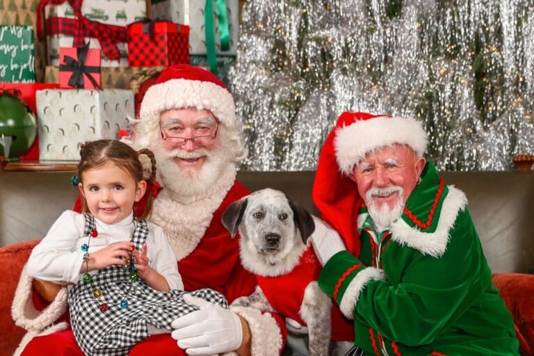 Bricoleur Holiday Market