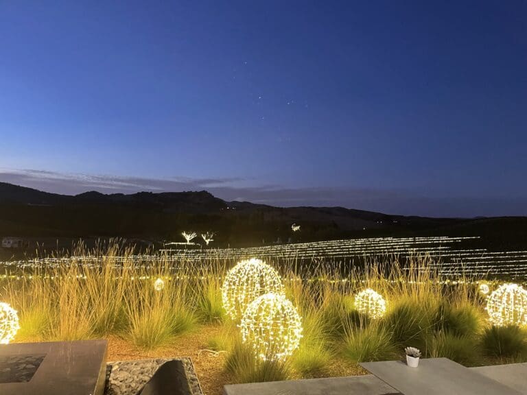 Bright Nights at Cuvaison 3