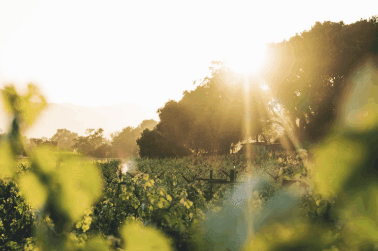 Bevan Cellars Announces New Partnership and Ownership Transition — Russell Bevan Refocuses His Legendary Craft on Napa Valley’s Finest Vineyards