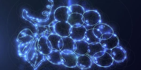 Wine Industry Network