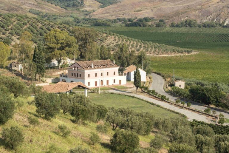 LIBRANDI_Tenuta Rosaneti