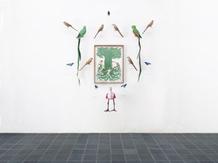 Ceiba Sagrada Image courtesy of Estudio Sarabia