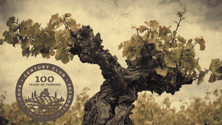 Century Club - Sonoma County Winegrowers