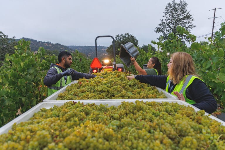 Wine Institute CA Harvest Report