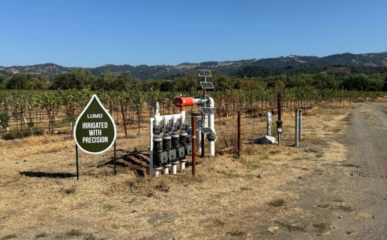 Lumo Wyatt partnership