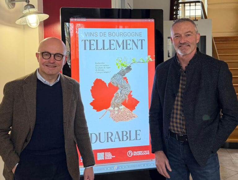 A New Leadership Duo to Shape the Future of Bourgogne Wines