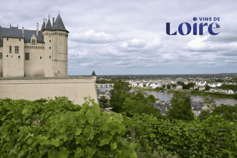 Vins-de-Loire-1