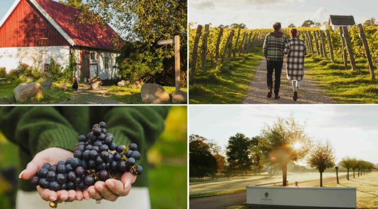 Terra-Skåne-x-4--Studio-e