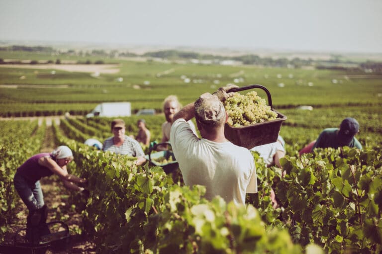 The-Secret-Behind-CHAMPAGNE-DE-SAINT-GALL