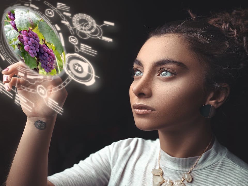 Wine Market Council Announces 2026 Research Conference: Innovating Wine for Tomorrows Market