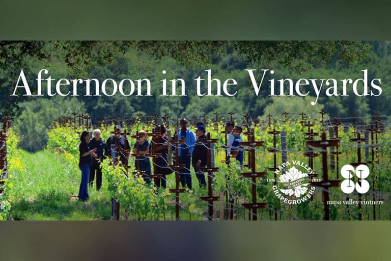 afternoon-in-the-vineyards_ftimg