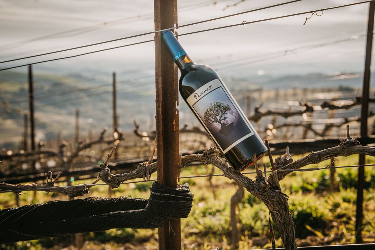 Frame of Mind Launches as a New Wine Portfolio Designed to Match the Mood of the Moment