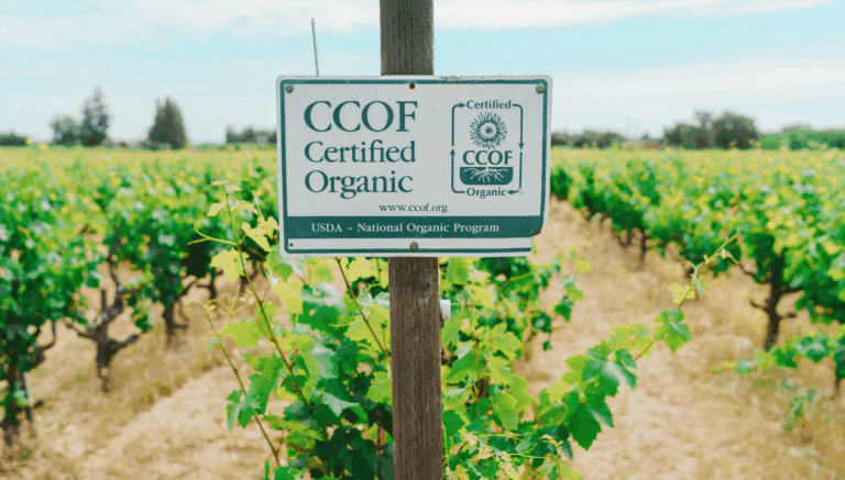 Screenshot 2026-03-19 at 12.52