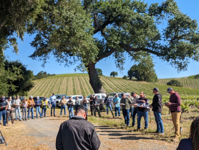 2024-Tailgate_New-Site_big-group