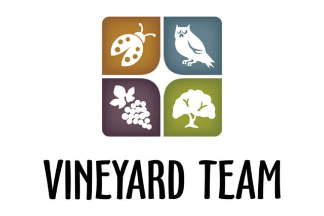 vineyardteam.org