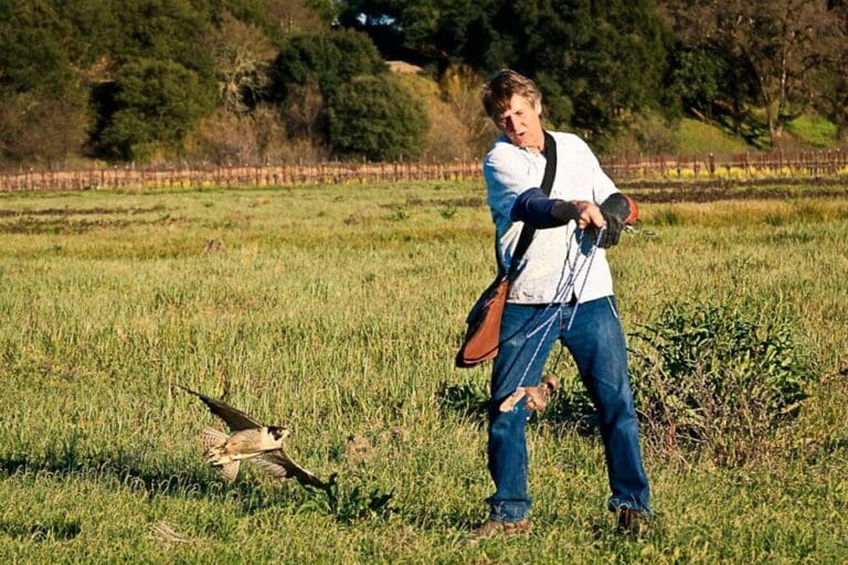Hawley Winery Announces New Falconry & Wine Experience_1