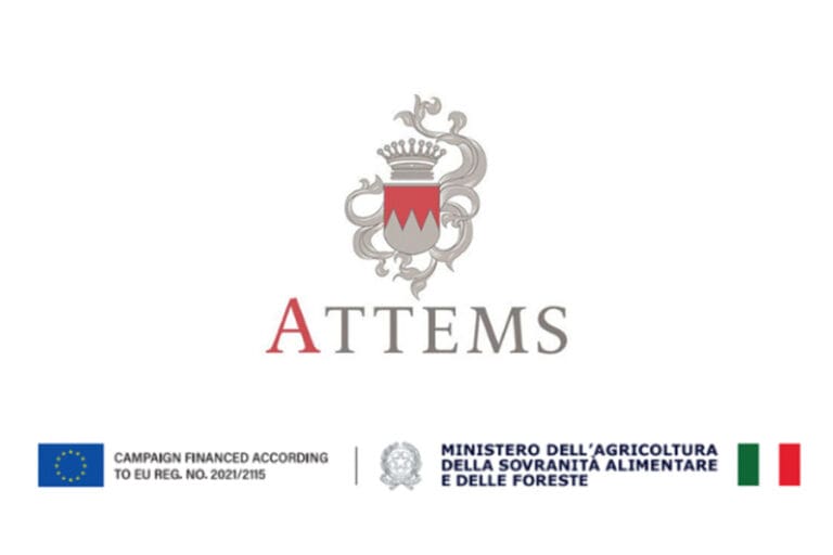 attems_eu_logo-900