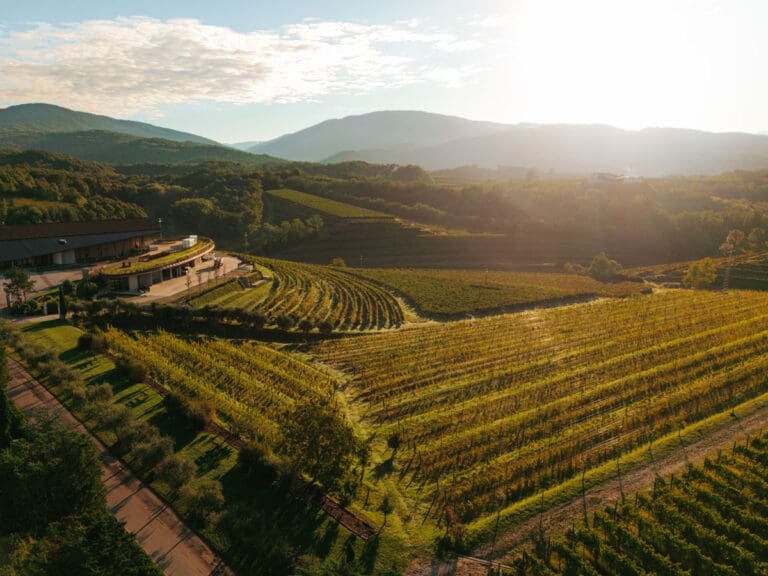 Zorzettig---Resilient-Since-1874,-Imperfect-by-Choice_DJI_0887