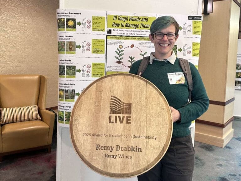 Remy Drabkin of Remy Wines Honored with Live Award for Excellence in Sustainability 