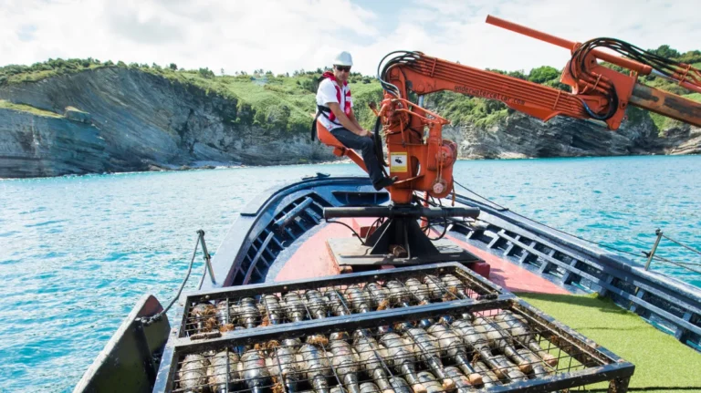 ec444d60-1cf5-4b5e-be2d-8bec75d5cf9f