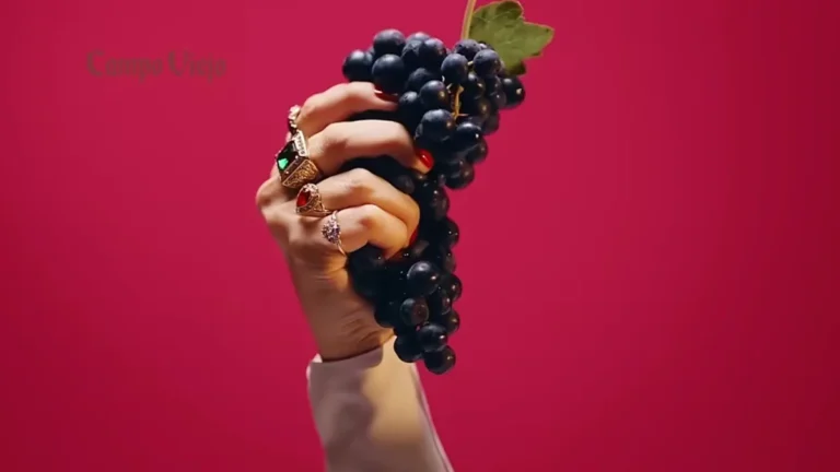 56520d5b-d524-4eb9-b1c2-5baddde8db8f