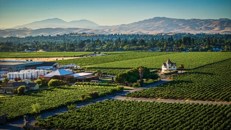 Concannon-Vineyard_Aerial1_1200
