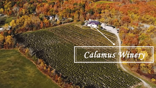 Goodman School of Business experiential project _Picture1