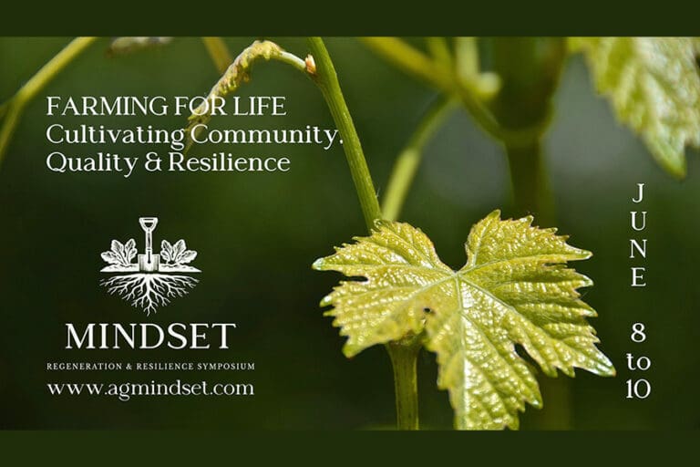 MINDSET-horizontal-graphic_ftimg