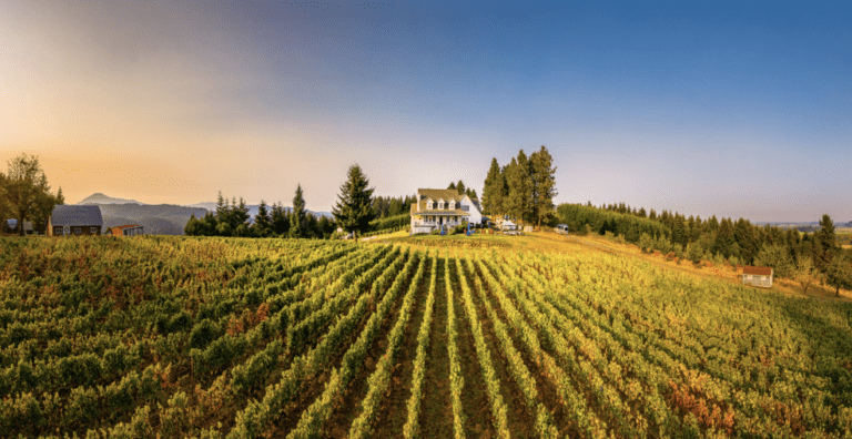 Bluebird Hill Cellars Reopens Renovated Tasting Room with Major Upgrades