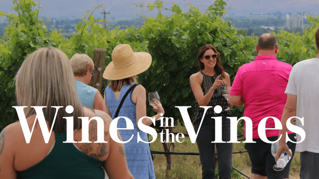 Wines in the Vines