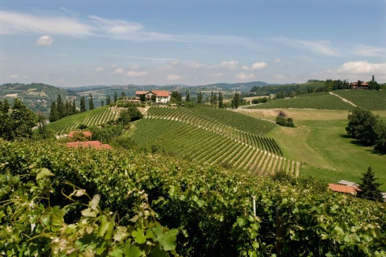 Poderi-Luigi-Einaudi-Relais_GRB_8341