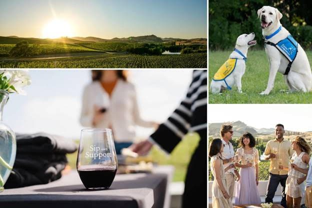 Summer Sip & Support at Cuvaison Winery